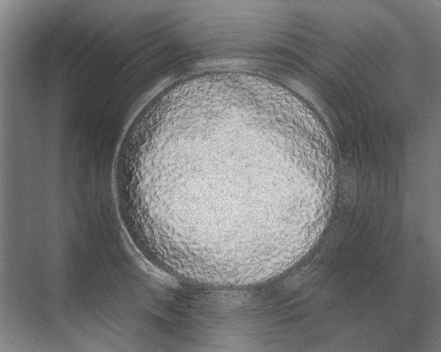 X0000071931090200608041454