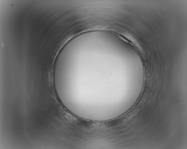 X0000071931097200608041454