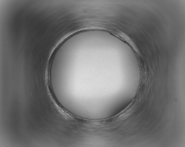 X0000071931101200608041454