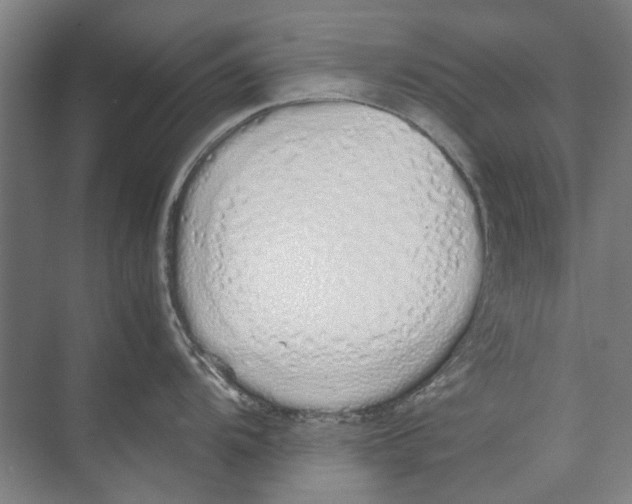 X0000071931104200608041454