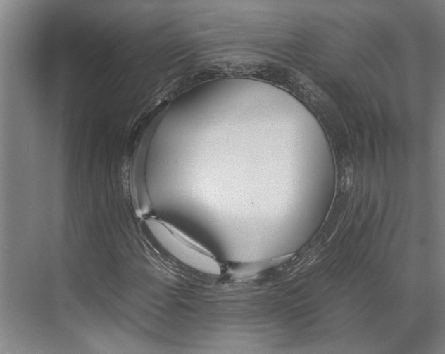X0000071931108200608041453