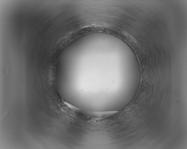 X0000071931110200608041453