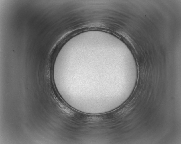 X0000071931115200608041453
