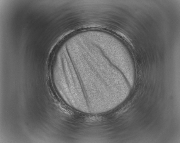 X0000071931117200608041454