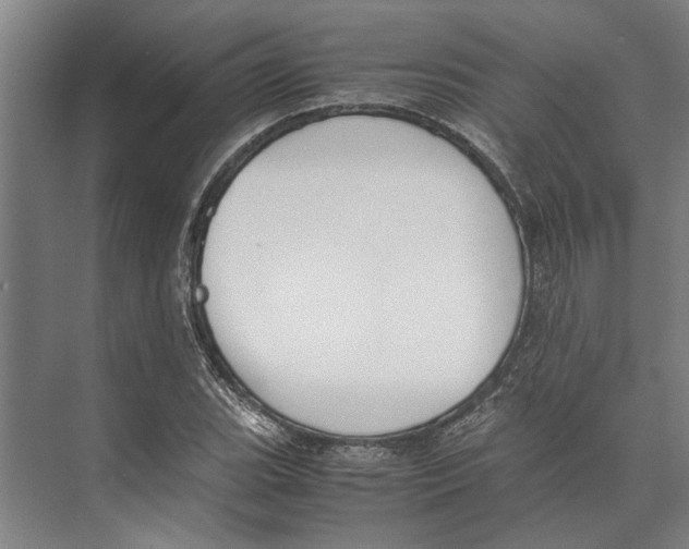 X0000071931119200608041454