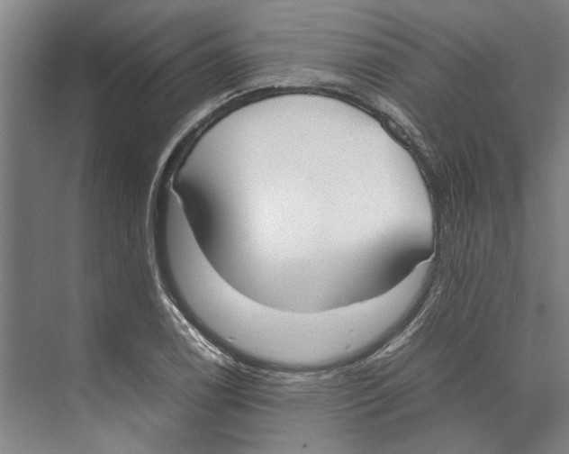 X0000071931122200608041454