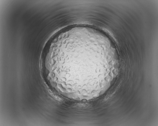 X0000071931125200608041454