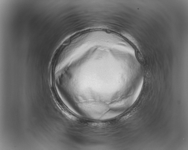 X0000071931127200608041454