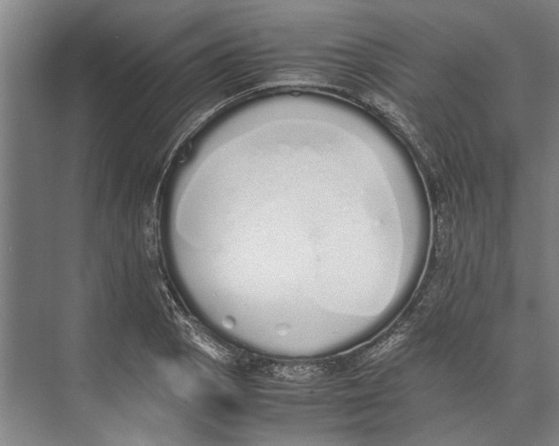 X0000071931129200608041454