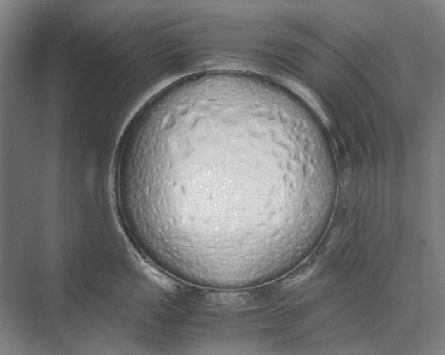 X0000071931149200608041454