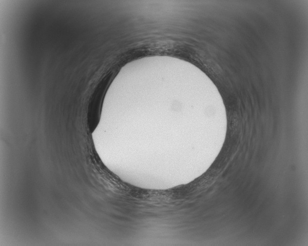 X0000071931153200608041453