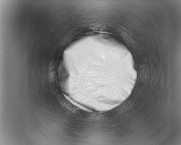 X0000071931154200608041453