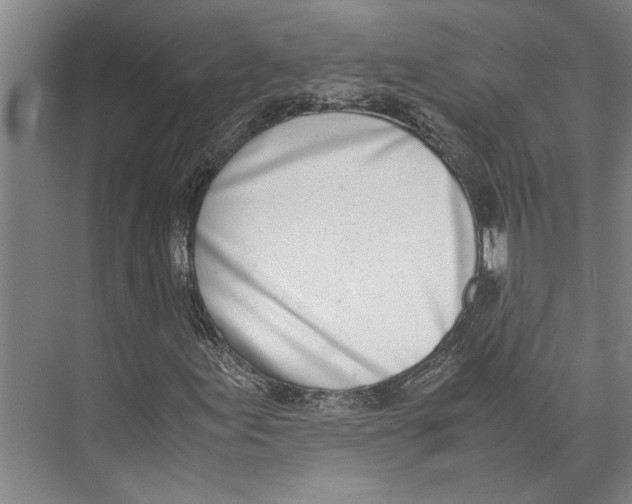 X0000071931155200608041453