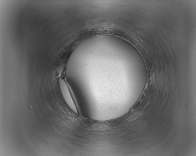 X0000071931156200608041453