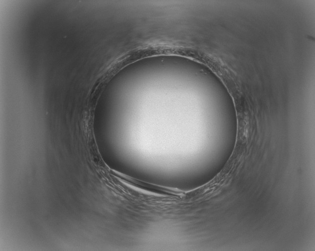 X0000071931157200608041453