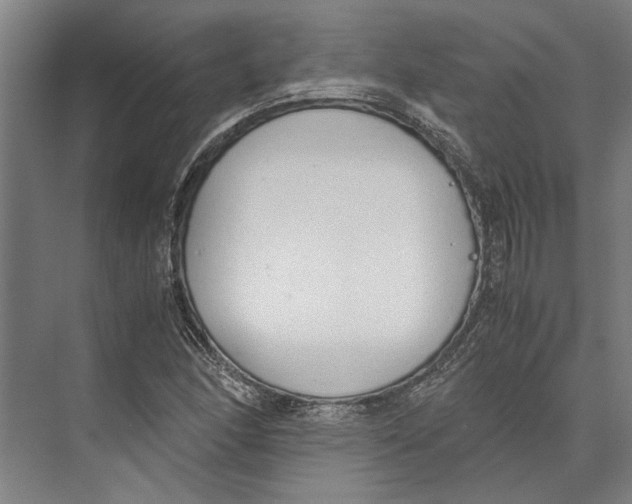 X0000071931166200608041453