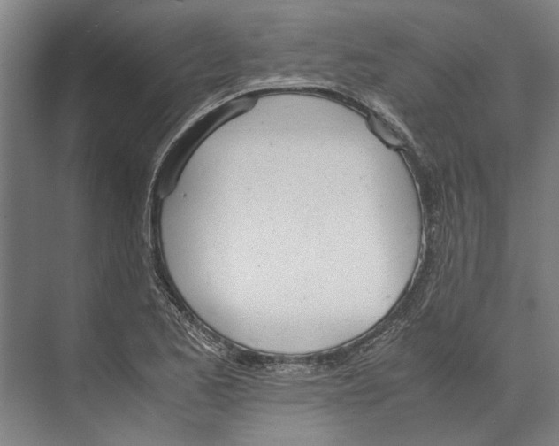 X0000071931173200608041453