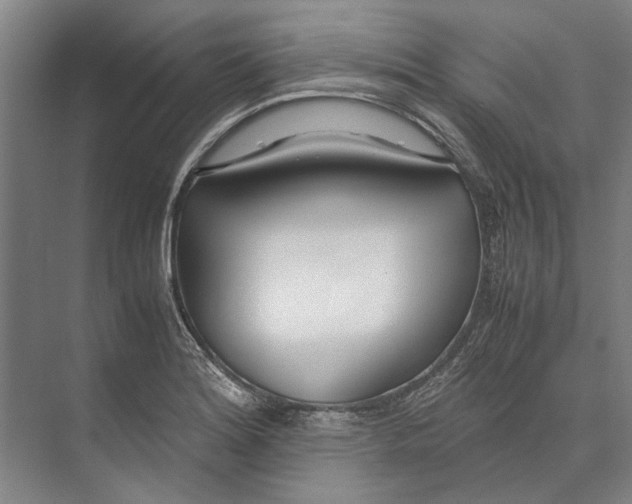 X0000071931180200608041453