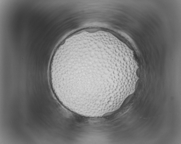 X0000071931199200608041453