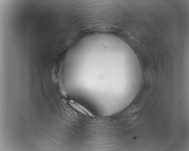 X0000071931202200608041452