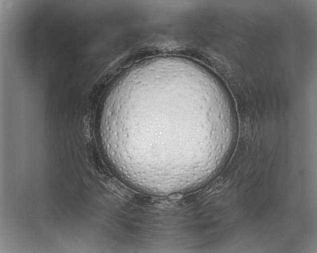 X0000071931205200608041452