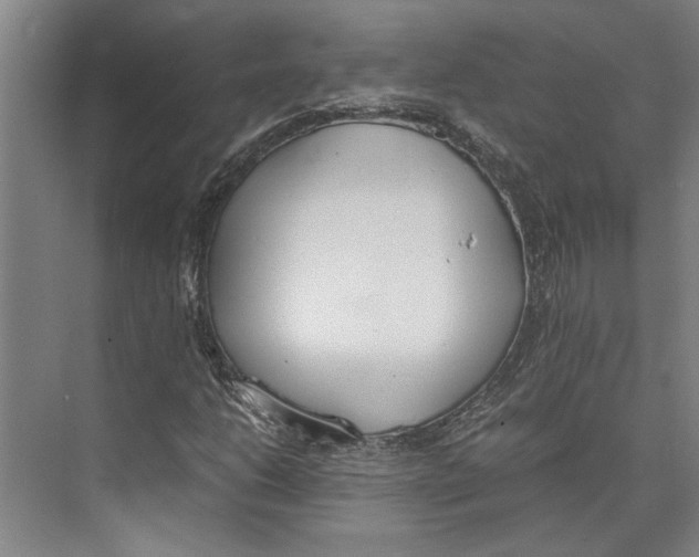 X0000071931206200608041452