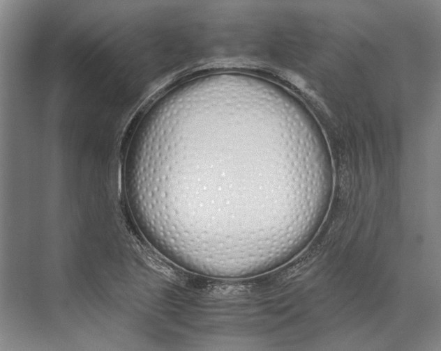 X0000071931221200608041452