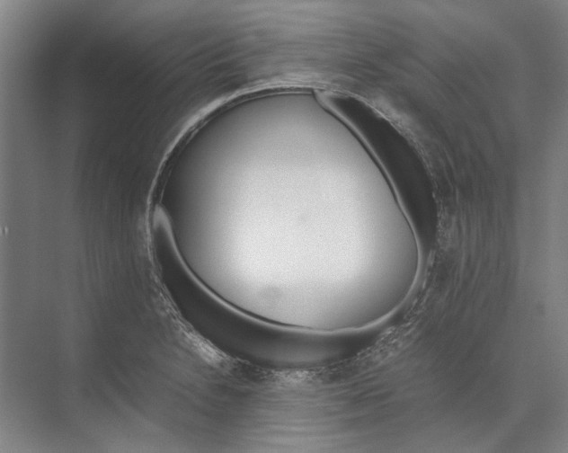 X0000071931230200608041452