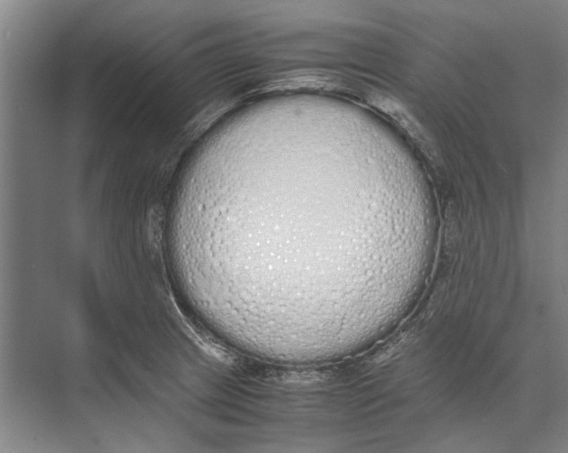 X0000071931233200608041452