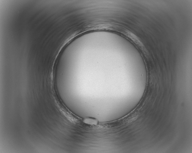 X0000071931234200608041452