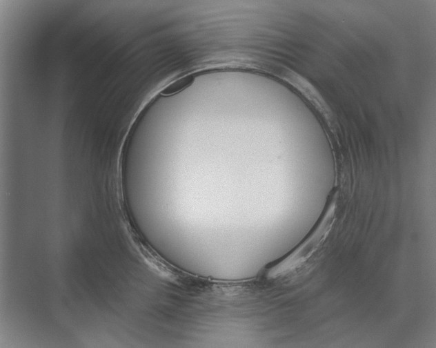 X0000071931242200608041452