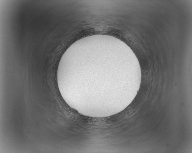 X0000071931249200608041452
