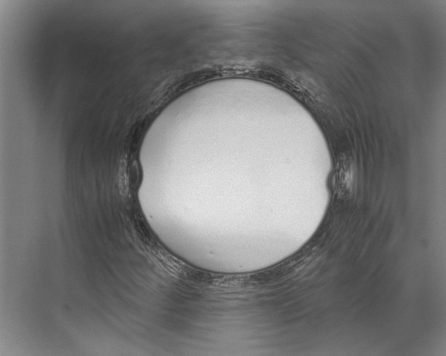 X0000071931252200608041452