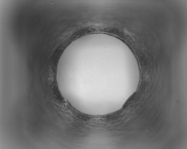 X0000071931253200608041452