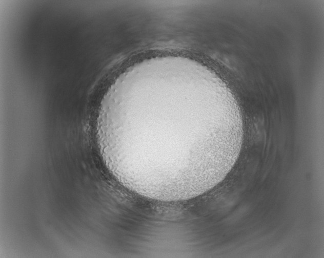 X0000071931254200608041452