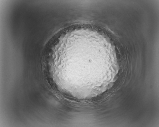 X0000071931255200608041452