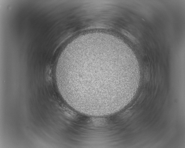 X0000071931258200608041452