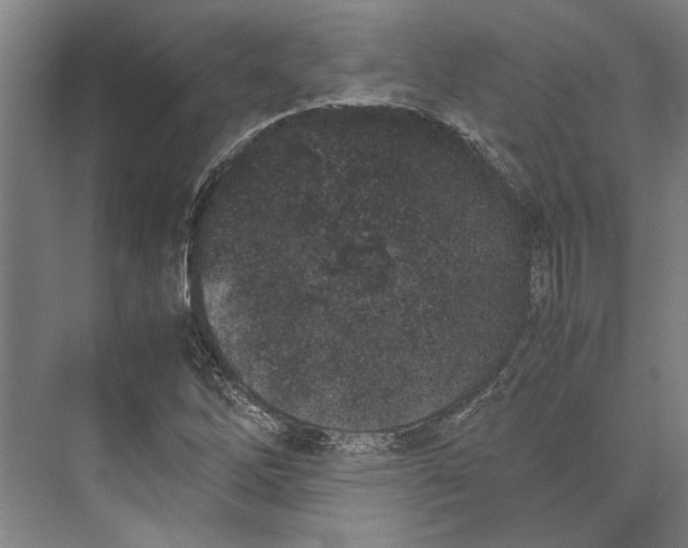 X0000071931262200608041451
