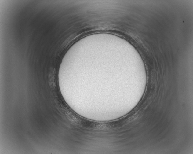 X0000071931265200608041451