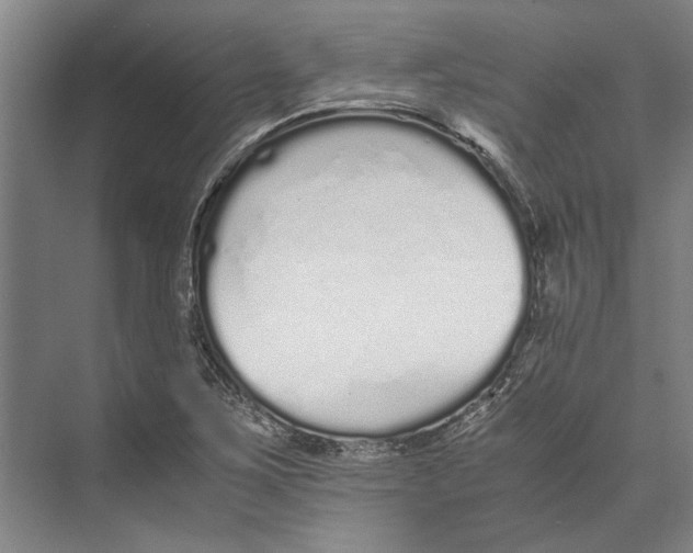 X0000071931267200608041451