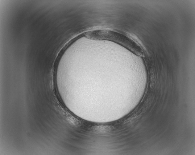 X0000071931268200608041451