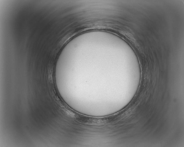 X0000071931273200608041451