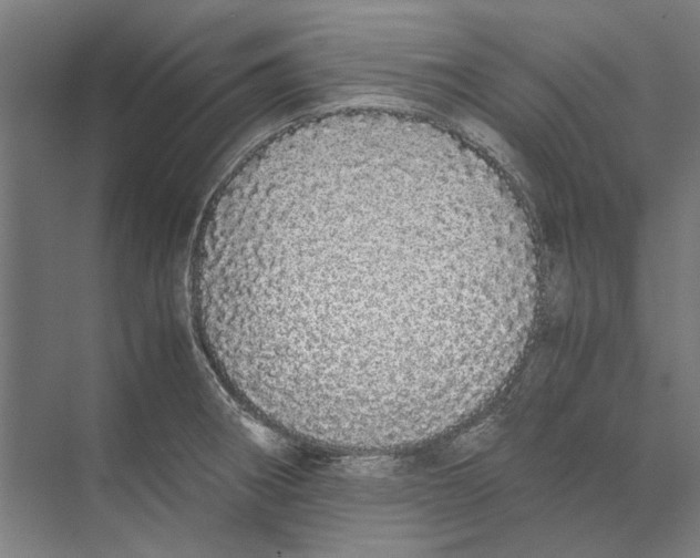 X0000071931282200608041451