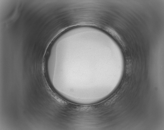 X0000071931284200608041451