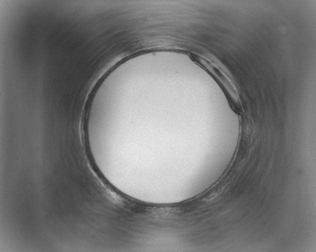 X0000071931293200608041451