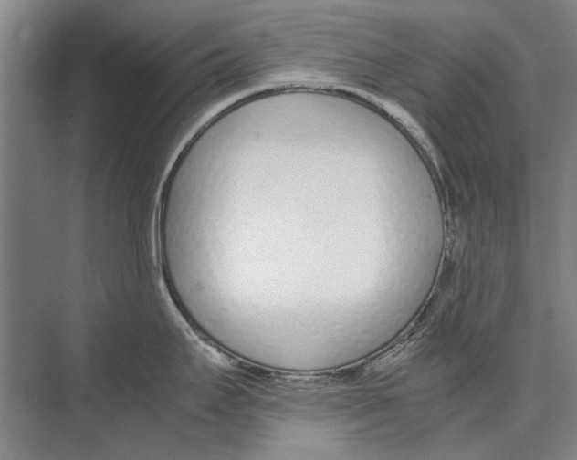 X0000071931295200608041451