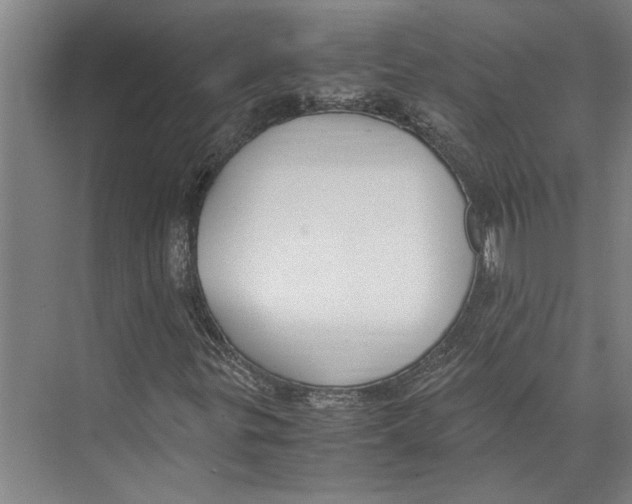 X0000071931299200608041450