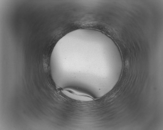 X0000071931300200608041450