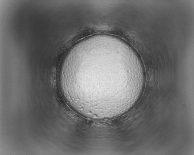 X0000071931301200608041450