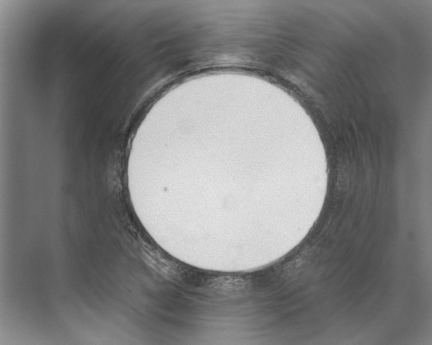 X0000071931314200608041450